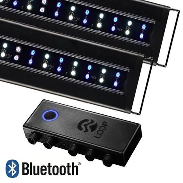 Orbit Marine 18"- 24" Bluetooth IC LOOP PRO Dual LED System (4334) - Current USA