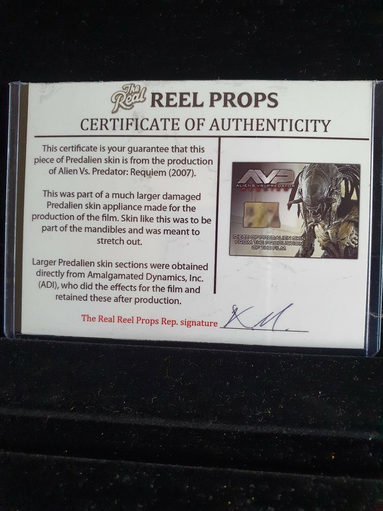 Extremely Rare! AVP Alien vs Predator Original Screen Used Piece Predalien Prop