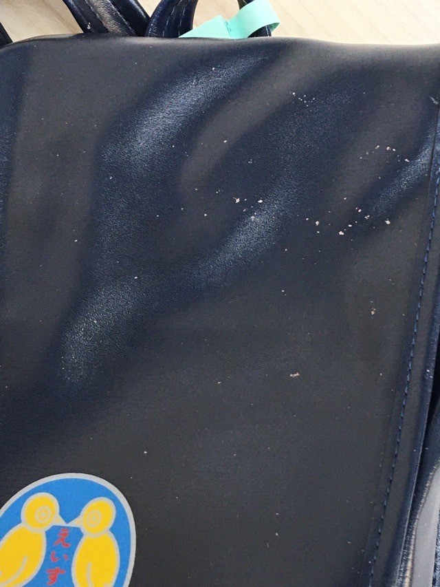 Kanagawa Eisu Kindergarten Backpack (Code 0206056)