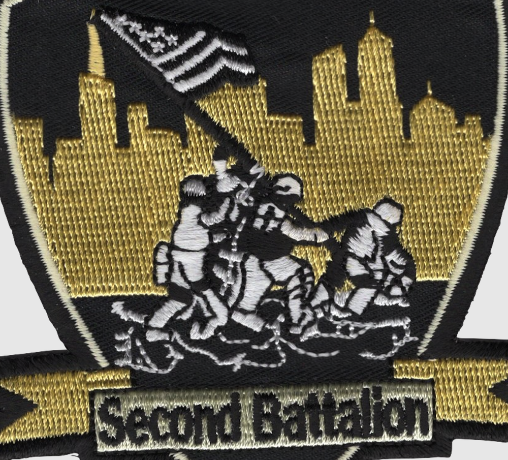 2nd Battalion 24th Marines Patch