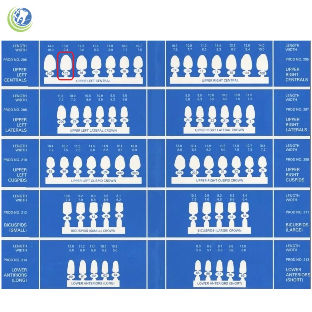 DENTAL POLYCARBONATE TEMPORARY CROWNS #102 (ULC) UPPER LEFT CENTRAL 5/PACK