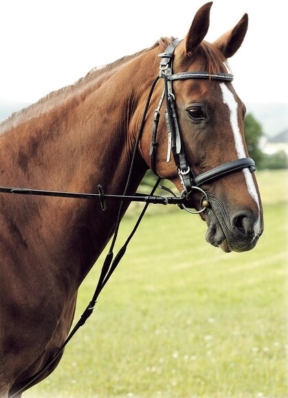 LEATHER HAM WITH DOUBLE ADJUSTMENT