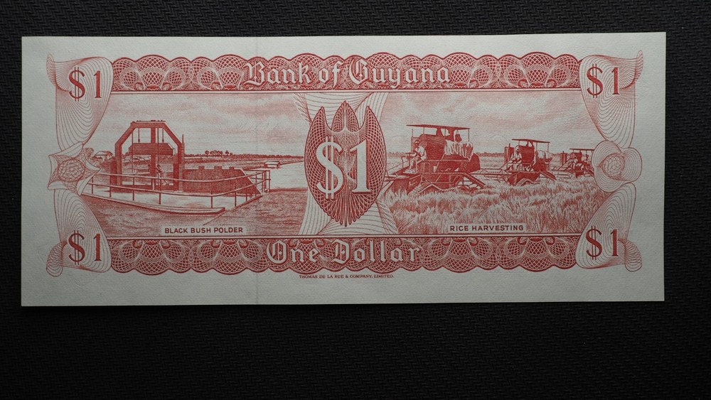 GUYANA ONE DOLLAR **NICE NOTE ** CRISPUNC ** FREE SHIPPING S1367