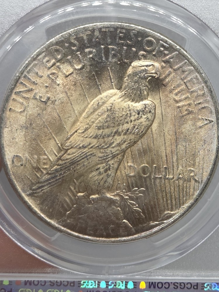 1925 $1 Peace Dollar PCGS MS63 Toned