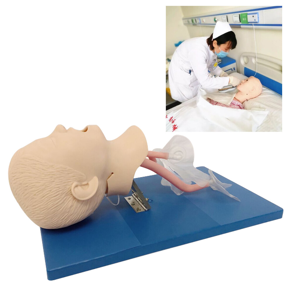 Intubation Manikin Study Teaching Training Model Airway Management Trainer Model