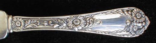 International WELLESLEY boullion spoon(s)