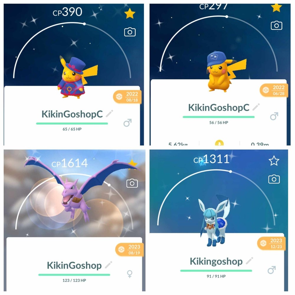 SHINY CUSTOME POKEMON GO (REGULAR SIZES) PLEASE SEE DESCRIPTION!!