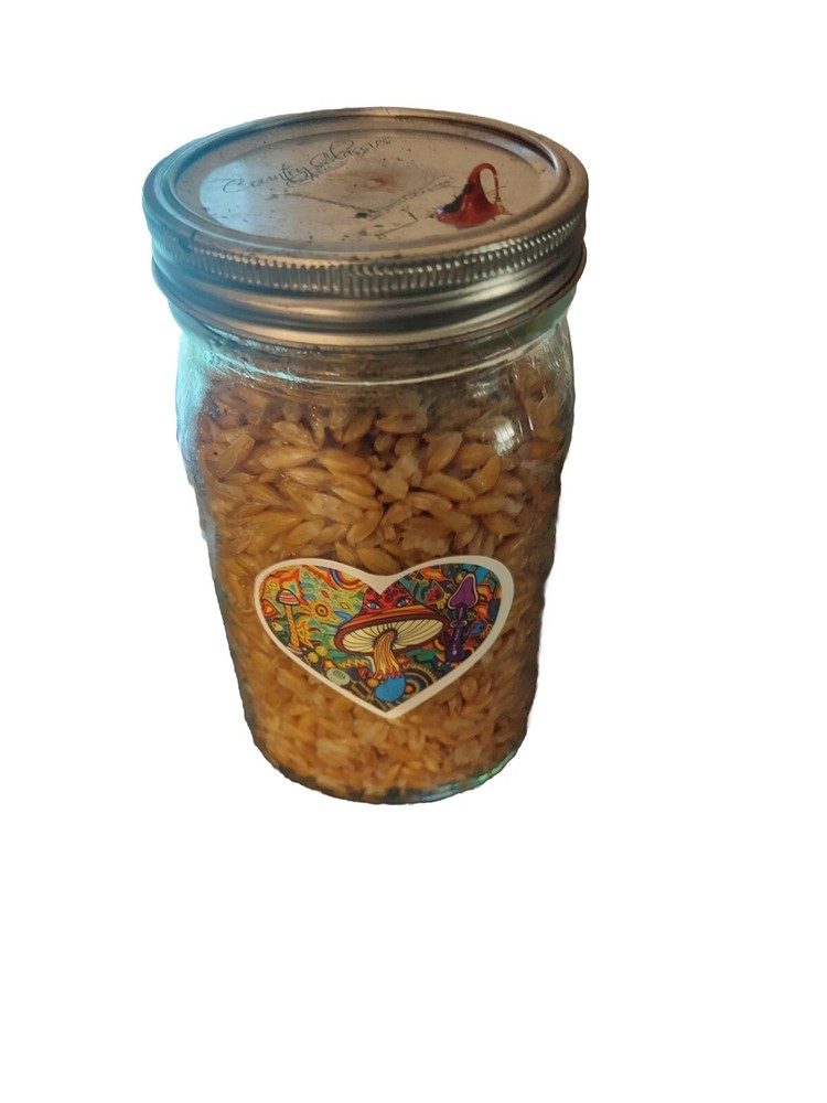 Sterilized Grain Jar (Quart Jar) Includes "Injection Port"