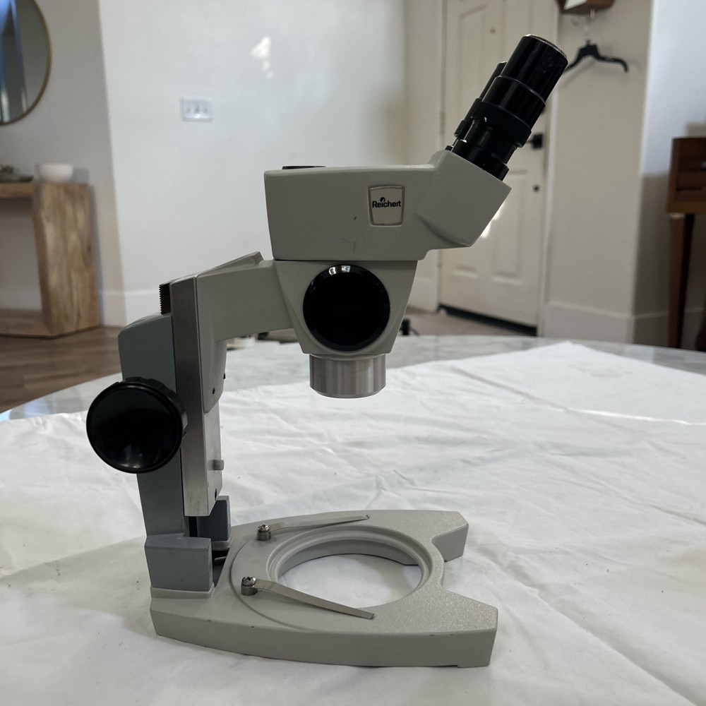 Reichert Cycloptic Stereo Microscope W/ Eyepieces