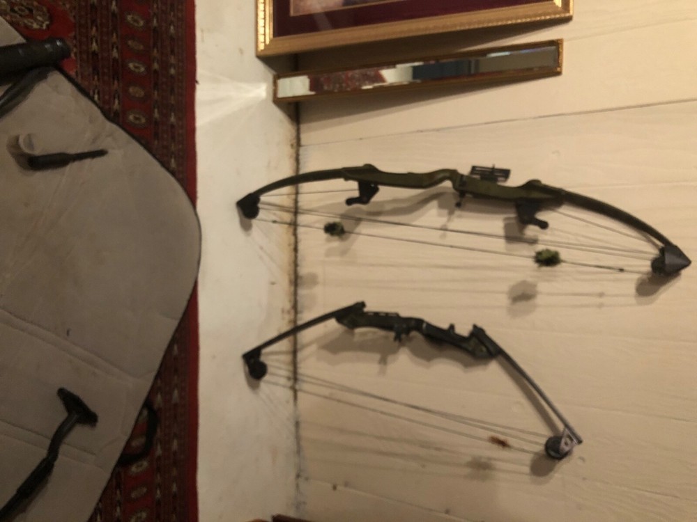 carry case and 2 compound bows