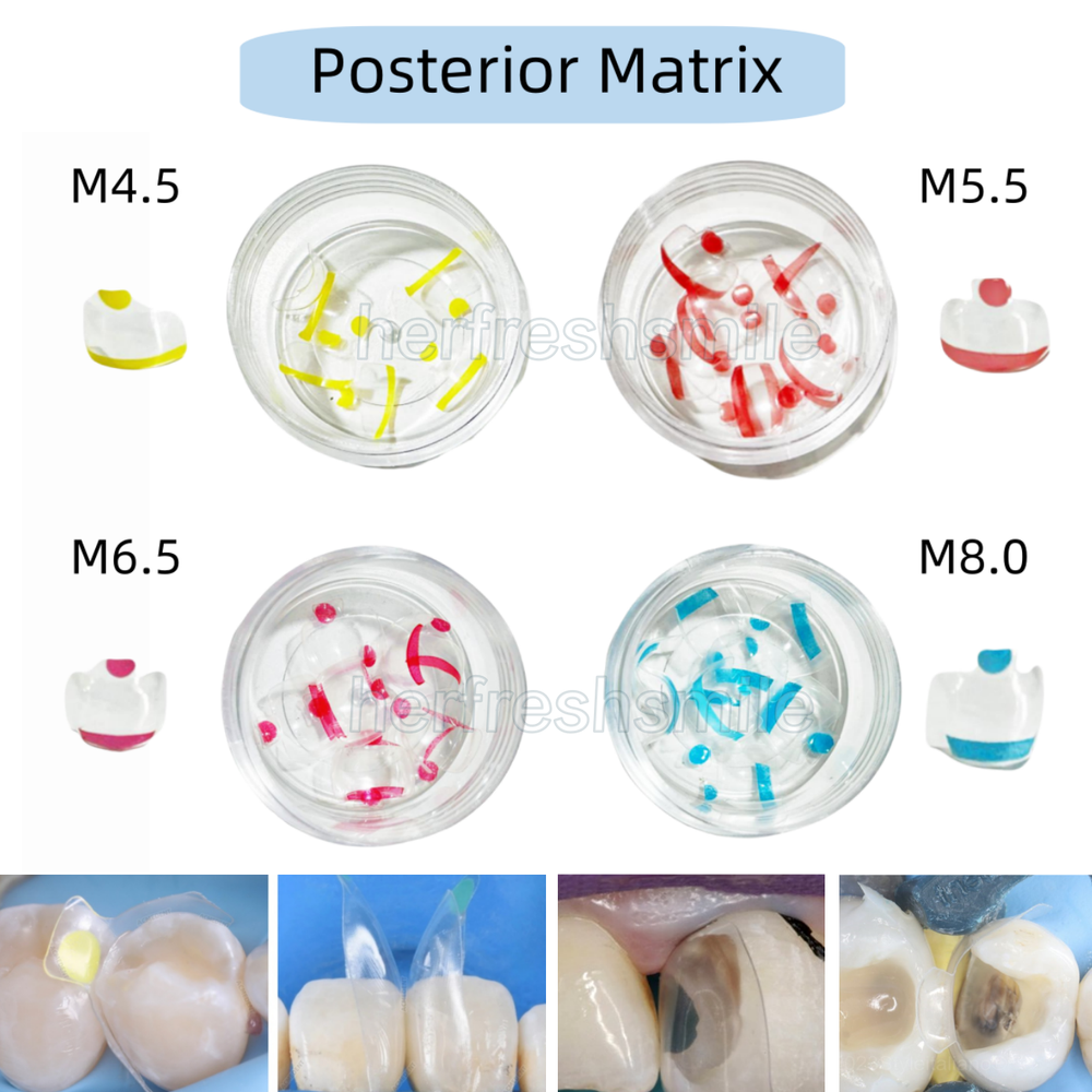 11Sizes Dental Clear Matrix Front/Molar Teeth Transparent Matrix Fit Bioclear BT