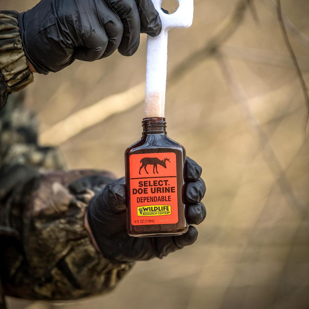 deer Attractant