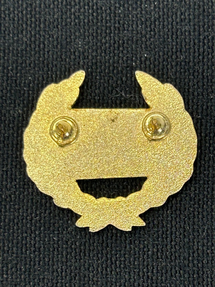 US Air Force Wife Pin