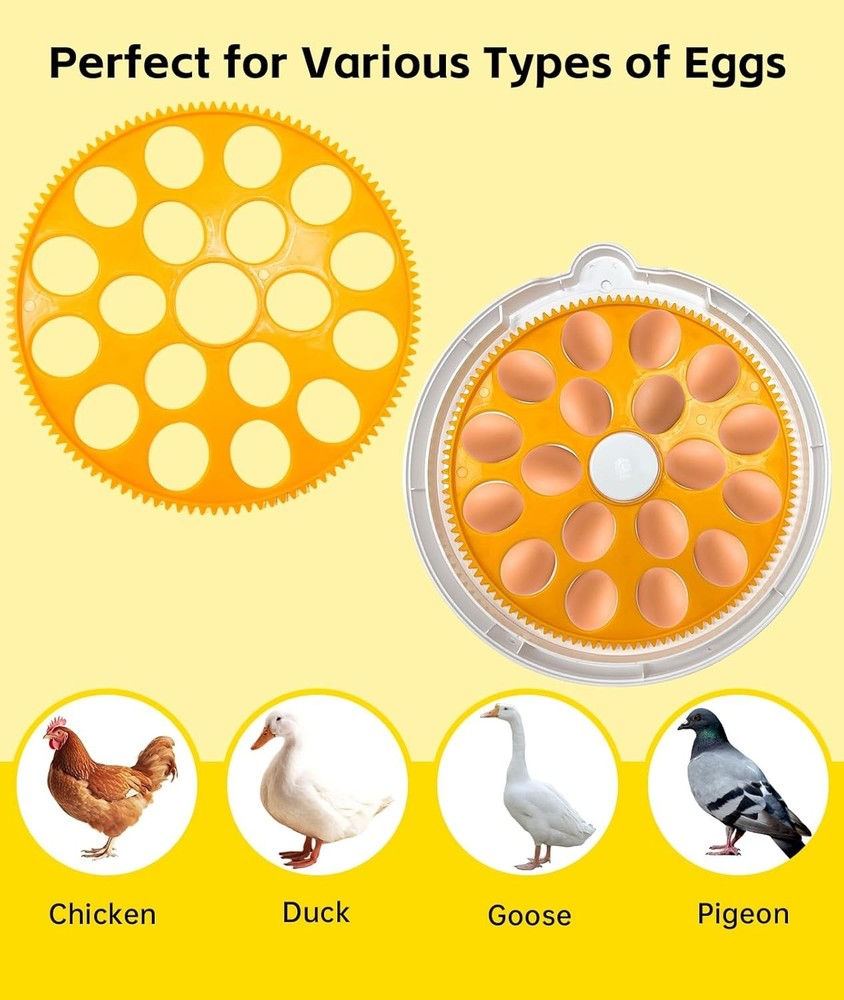 Professional Egg Incubator – 360° Full View, Precise Temperature Control, Automa