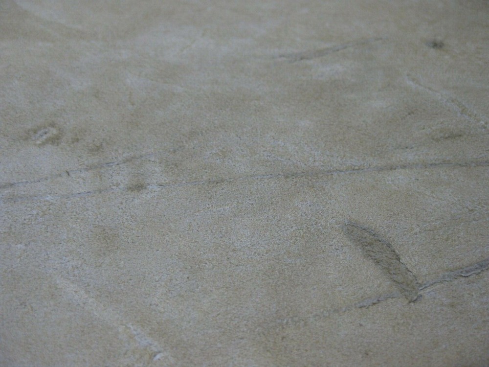 Buffed Buffalo Leather #0013068 Row 28