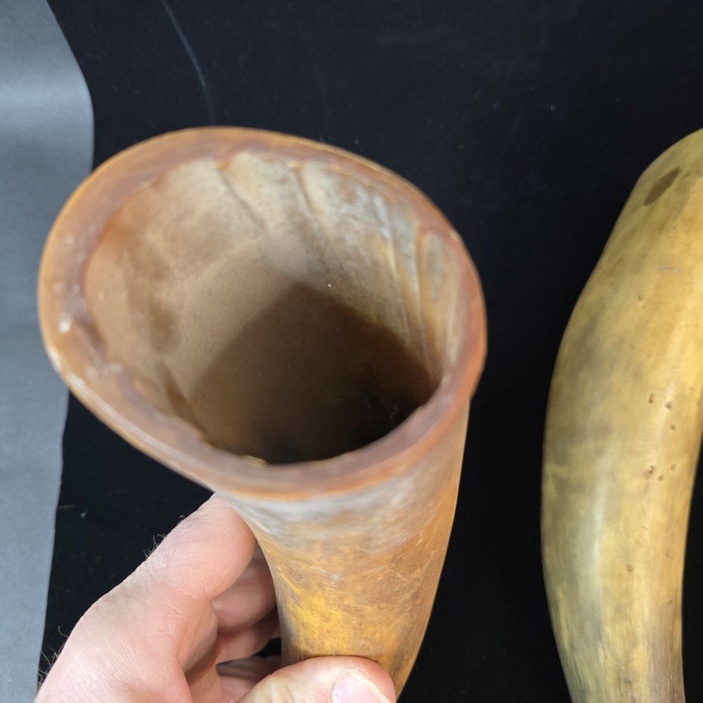 Antique Powder Horns