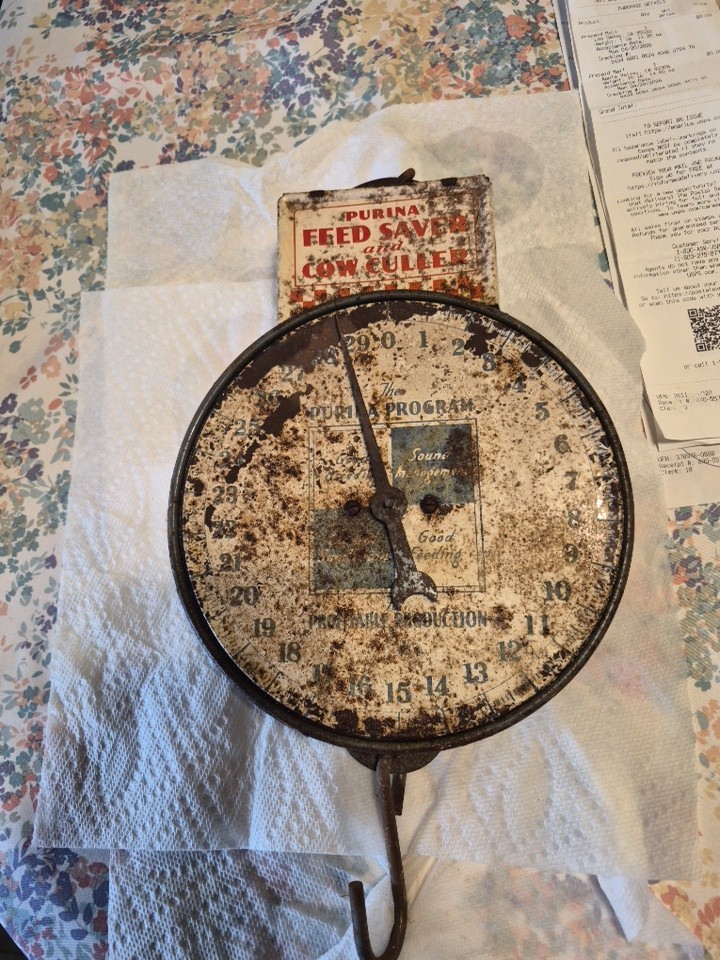 Antique scale