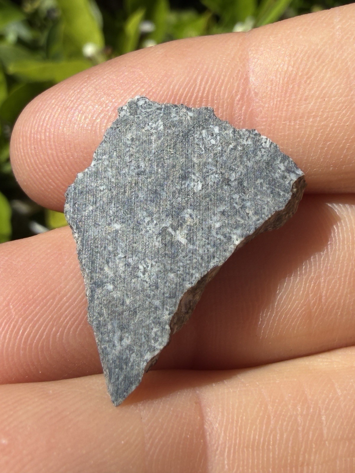 Amgala 001 Martian Meteorite Slice, Shergottite Mars Rock, Rare Meteorite, 1.91g