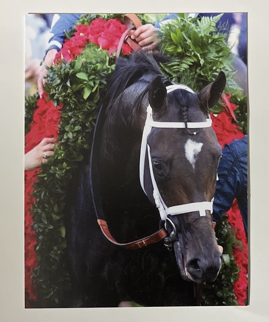 POSTCARD REPRINT ALWAYS DREAMING RACEHORSE KENTUCKY DERBY PHOTO COPY 4.25”x5.5”