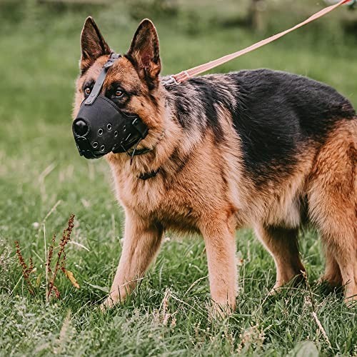 Large Dog Basket Muzzle - No Biting, Barking, or Chewing - Adjustable Straps, Bl