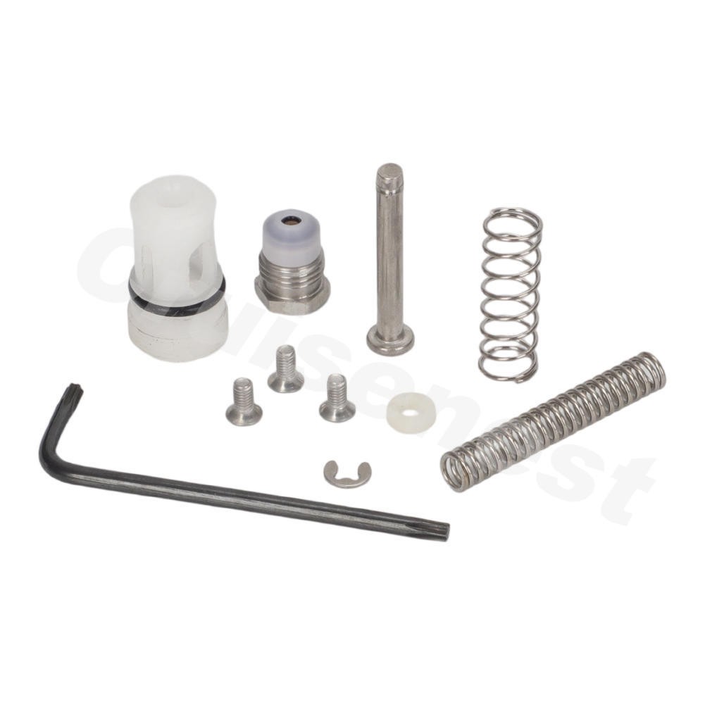 For Iwata WS400 LS400 Spray Gun Rebuild Kit w/ Air & Fluid Valve Spring 5652