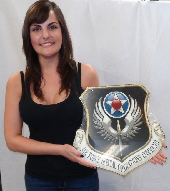 Air Force Special Operations Metal Sign