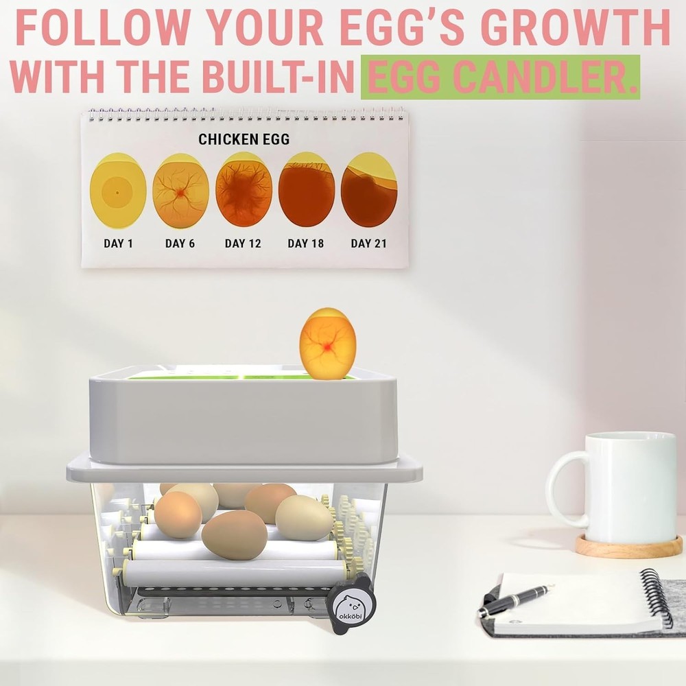12 Eggs Incubator with Automatic Egg Turning and Humidity Control - New