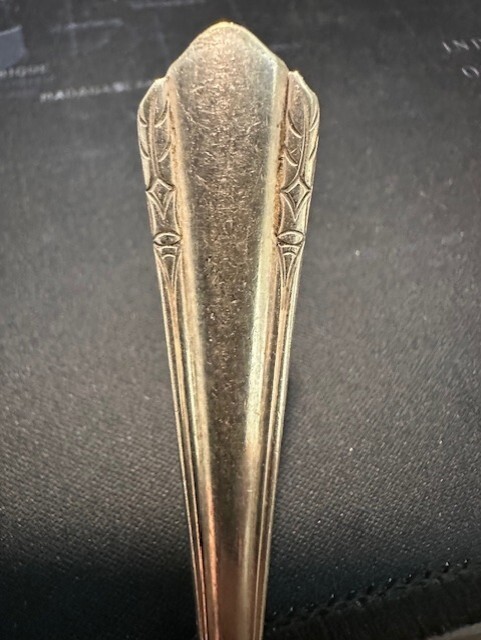 WM A. Rogers A1 Plus : Oneida LTD : Malibu : Silver Plate 6” Spoon : TX42