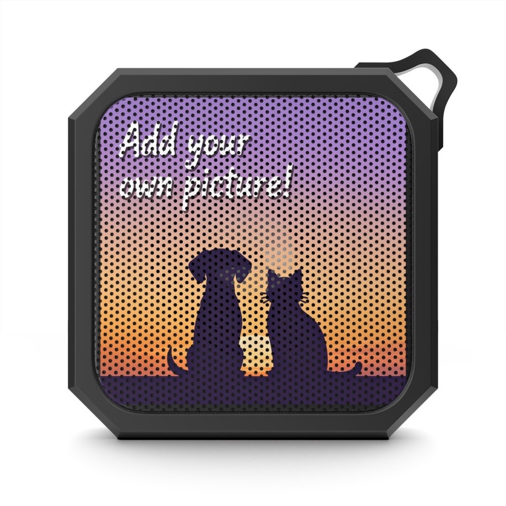 Custom, Portable, Outdoor Bluetooth Speaker