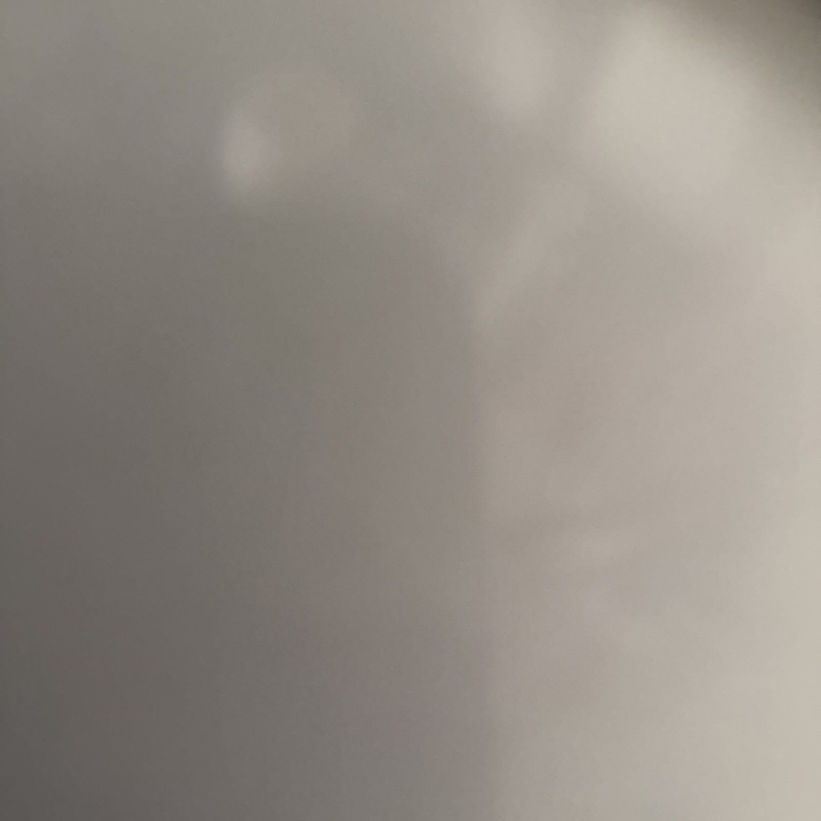 Disney Loungefly Alice in Wonderland Cosmetic Bag NWT