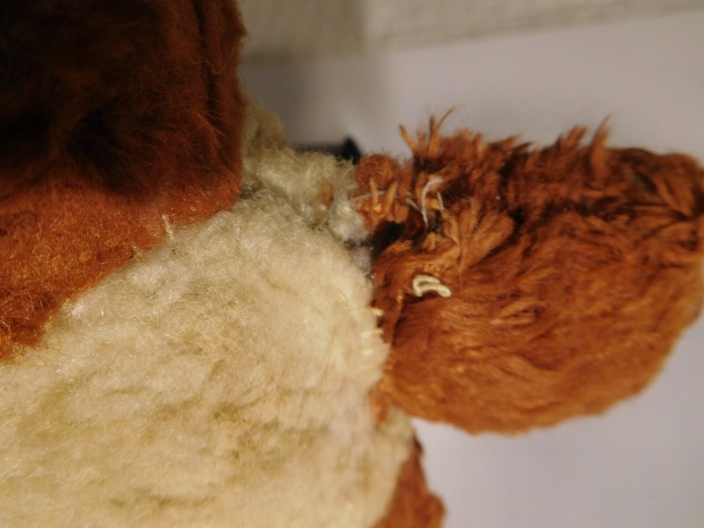 ~ Creepy Paranormal Mutant Teddy Bear ~