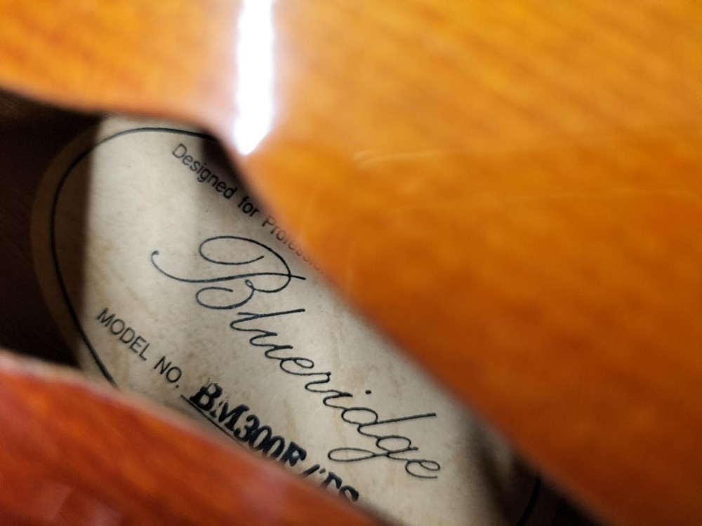 BLUERIDGE BM300F/TS Mandolin