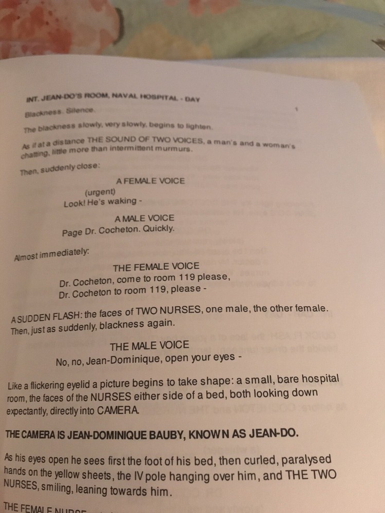 The Diving Bell and The Butterfly screenplay/ script