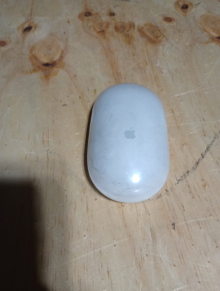 Apple Mouse Untested