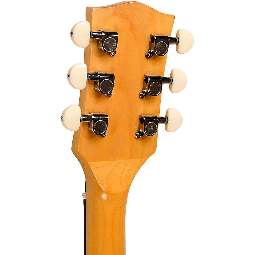 GT-500 Banjo