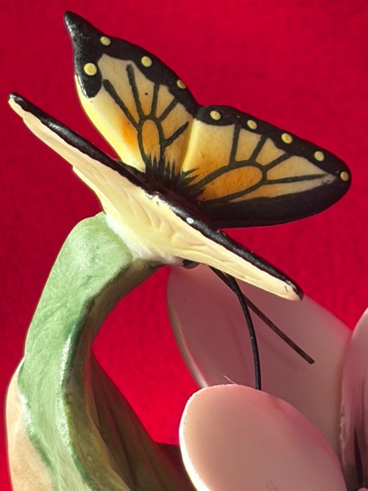 Monarch Butterfly on Flower