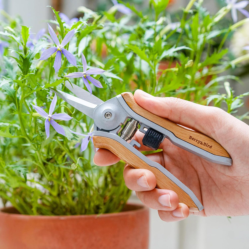 Berry&Bird 2PCS Pruning Shears Mini Straight Blades Pruning Scissors Snips