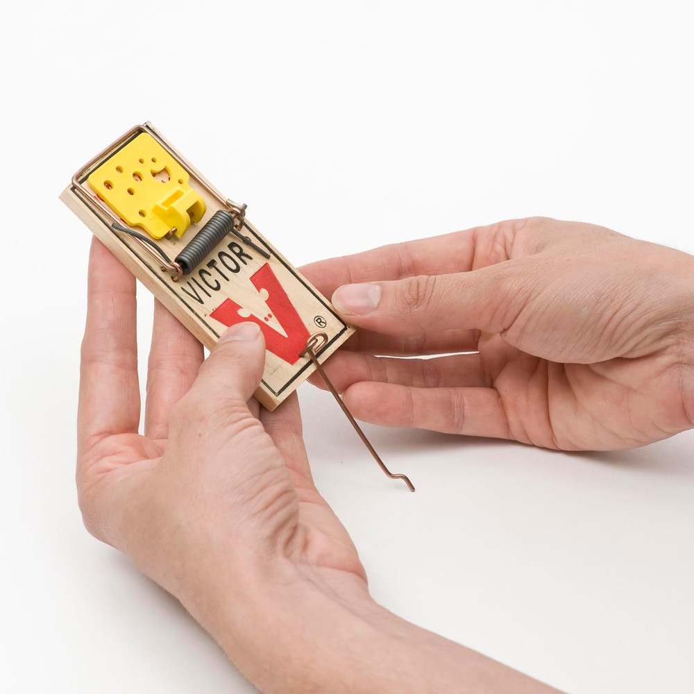 Easy Set Mouse Trap - 2Pk