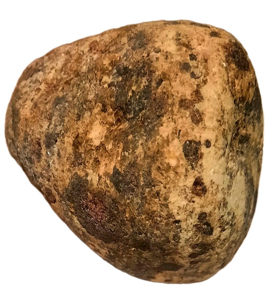 Garnet In Metamorphic Matrix Host Rock