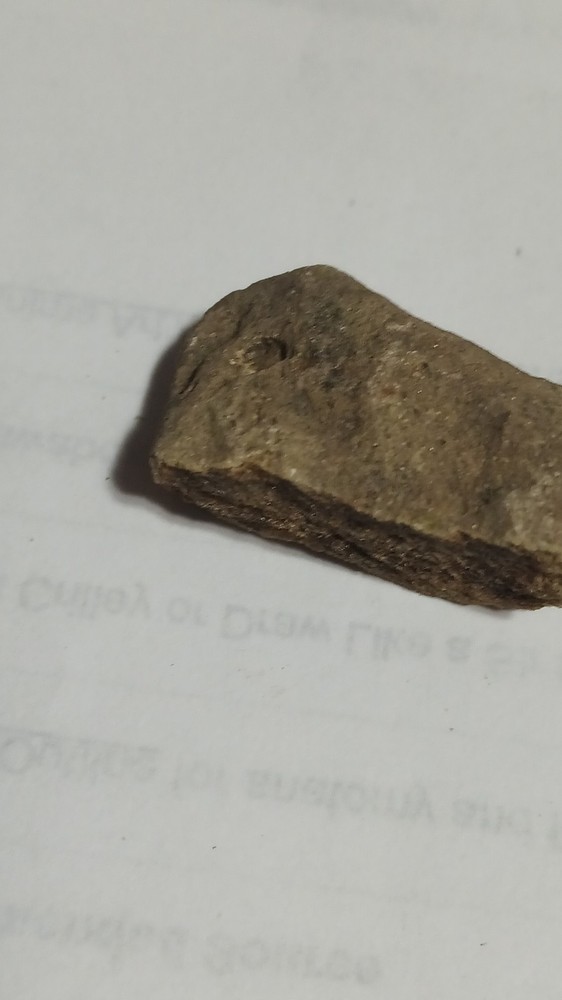 Fossilized Mammal Bone Fragment