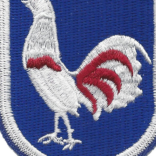 269th Regimental Combat Team Patch