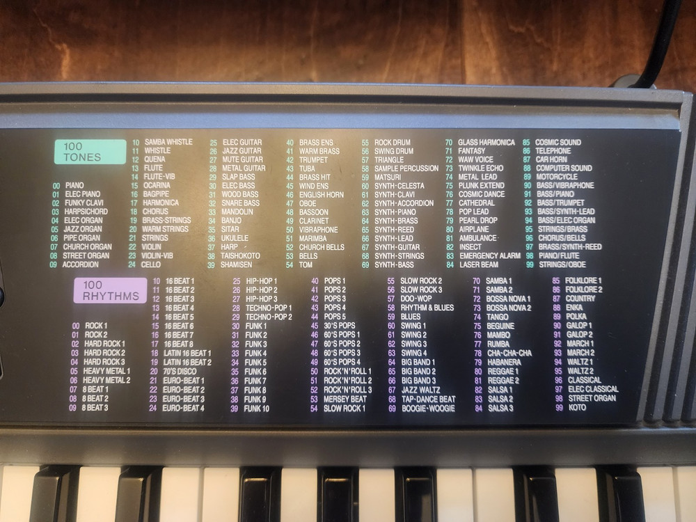 CASIO CTK-100 Portable Beginners Keyboard With AC Adapter