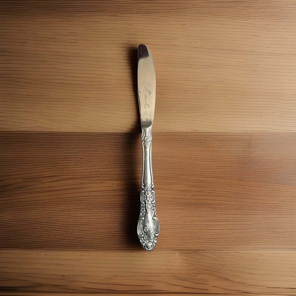 Oneida Stainless Flatware - Dinner Knife USA