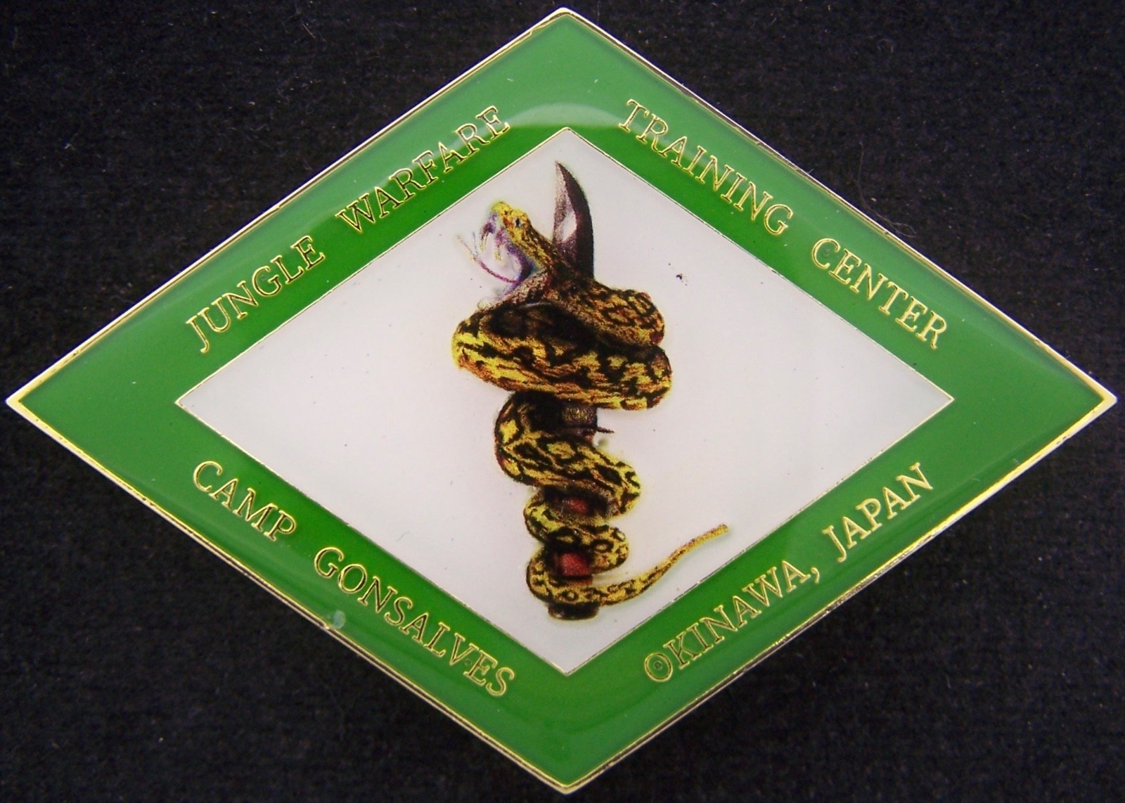 Jungle Warfare Training Center JWTC Marine Corps USMC Challenge Coin