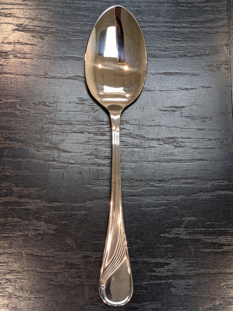 Stainless Steel Serving Spoon 10"