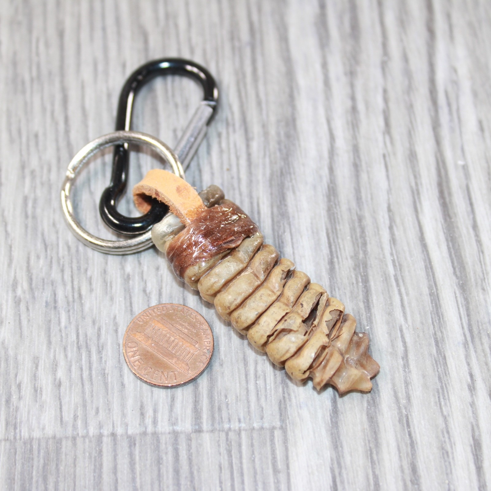Very Large Rattlesnake Rattle Key Ring #4662 Mountain Man Key Chain