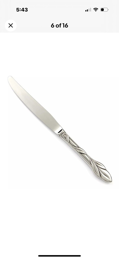 Oneida EDEN Stainless Deluxe DINNER KNIFE