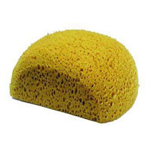 Intrepid Turtle Back Sponge Natural