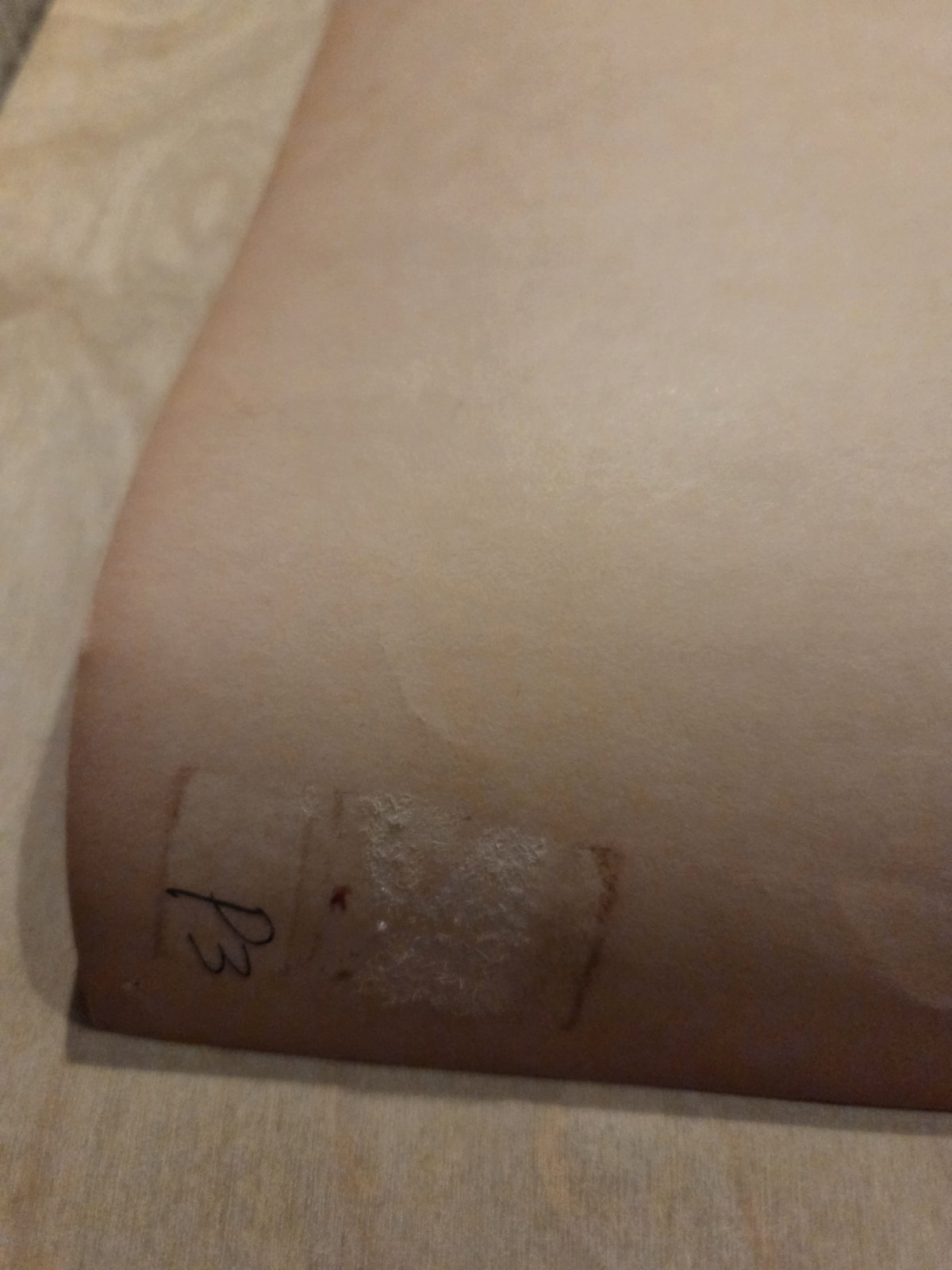 Big Brother Janis Ark Sausalito Poster AOR 2.309 1967 2nd Print RP-2 BG FD