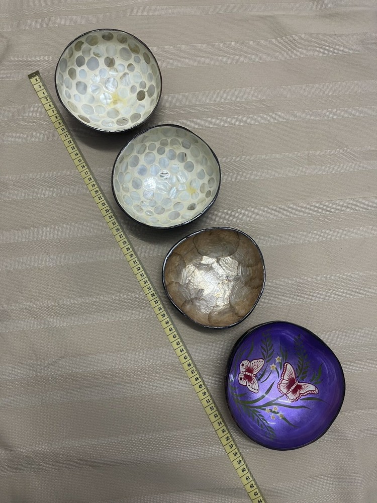 Hand Painted Coconut Shell Bowl 5.25" Diameter